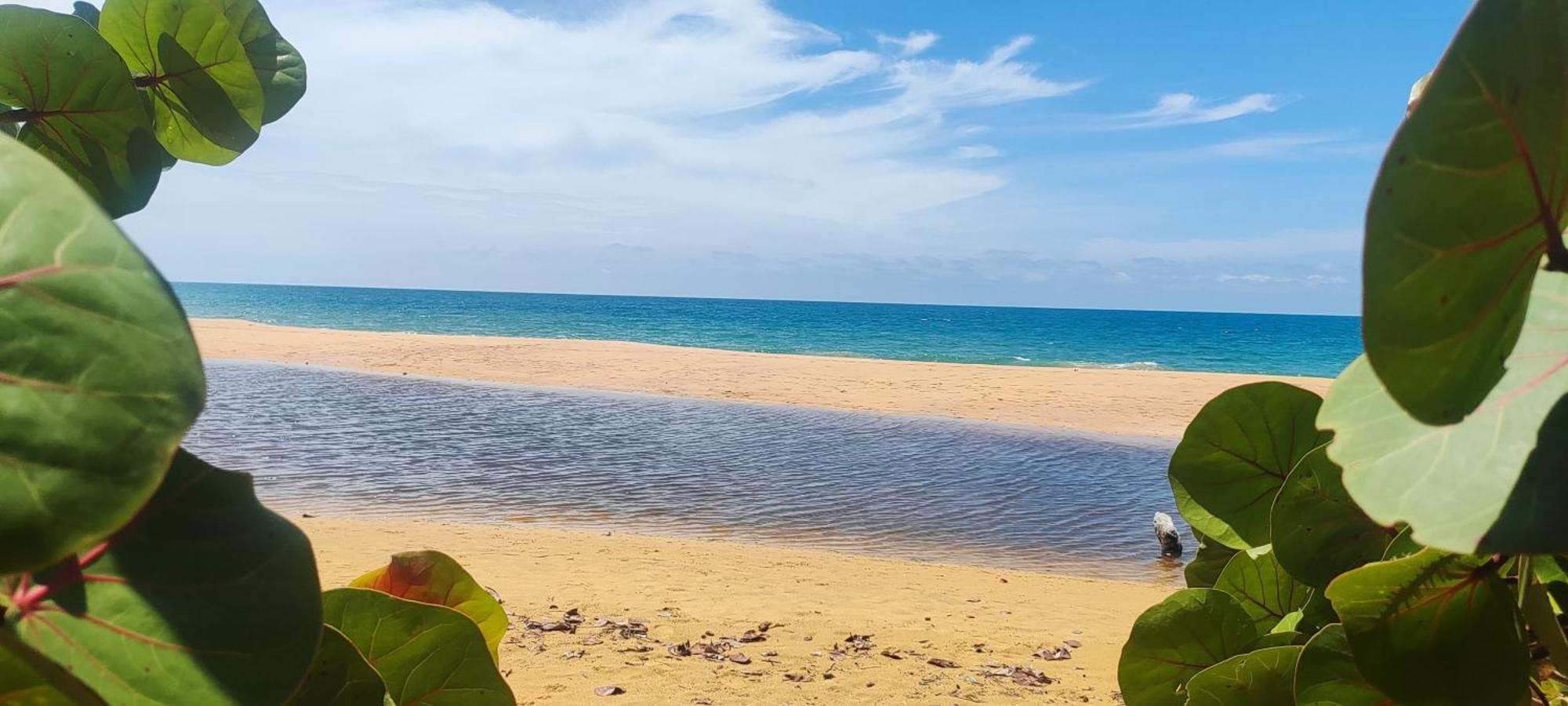 Bambu Lounge Bocas Hostel Бокас-дель-Торо Экстерьер фото