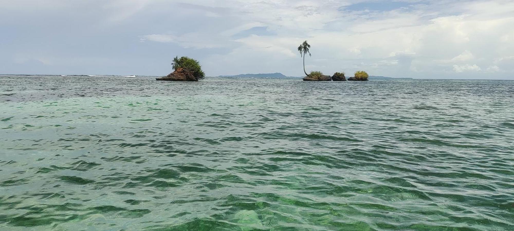 Bambu Lounge Bocas Hostel Бокас-дель-Торо Экстерьер фото