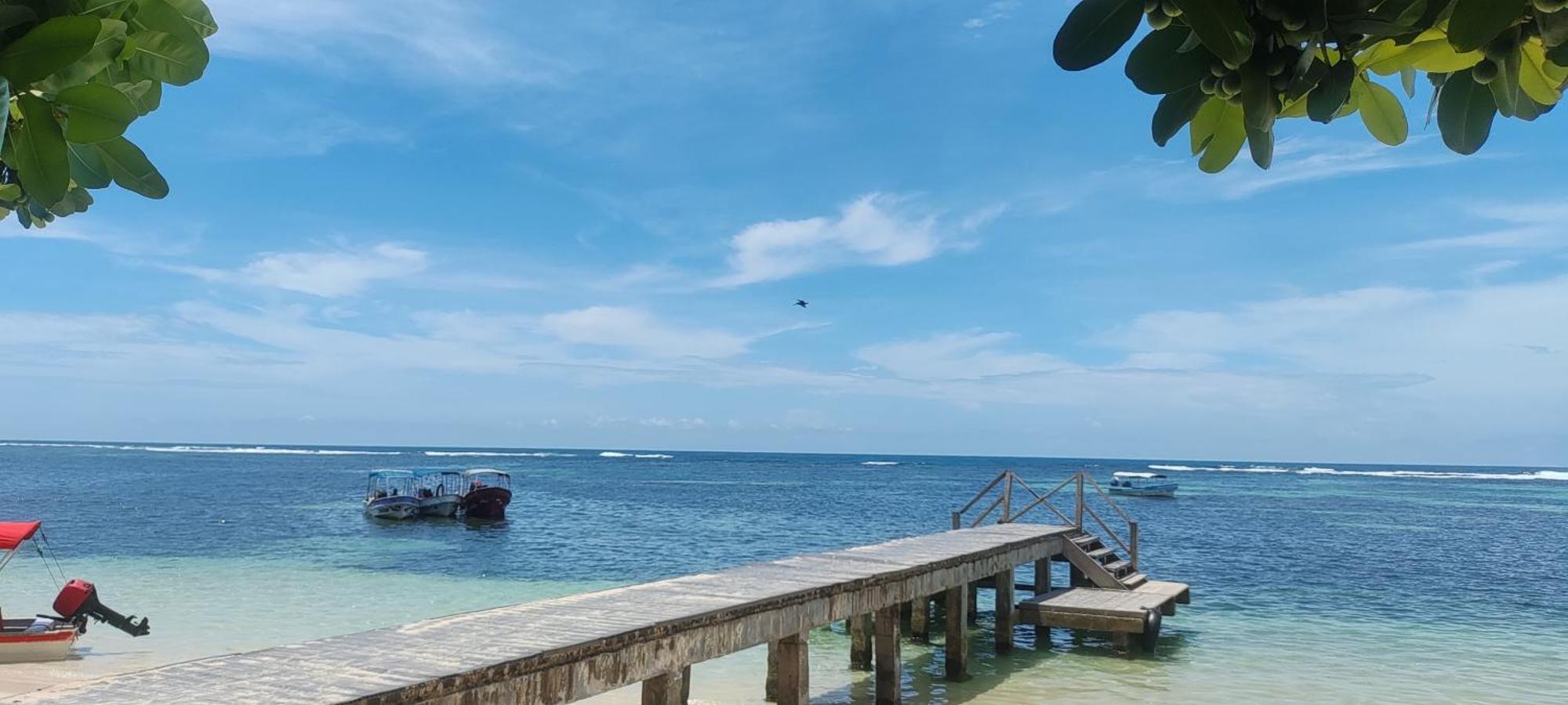 Bambu Lounge Bocas Hostel Бокас-дель-Торо Экстерьер фото
