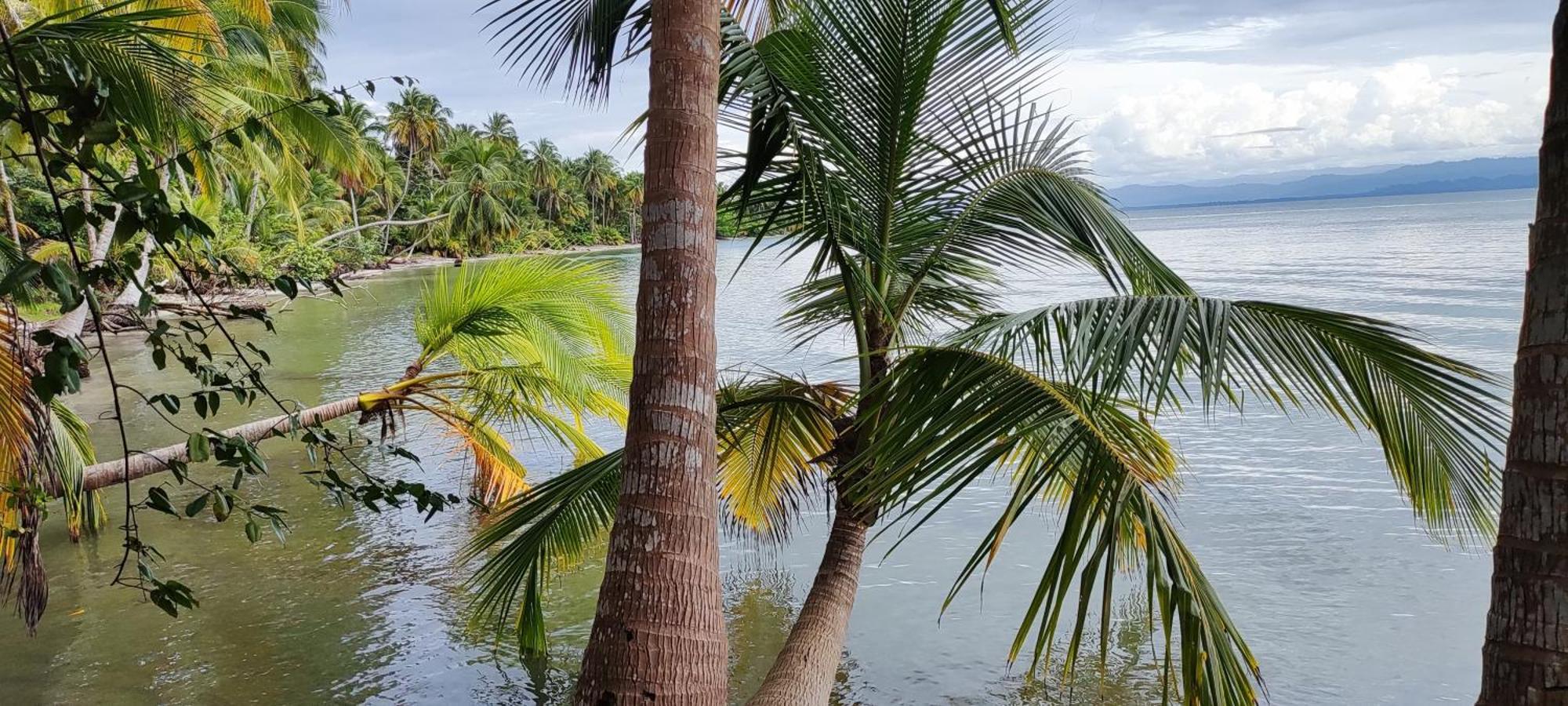 Bambu Lounge Bocas Hostel Бокас-дель-Торо Экстерьер фото