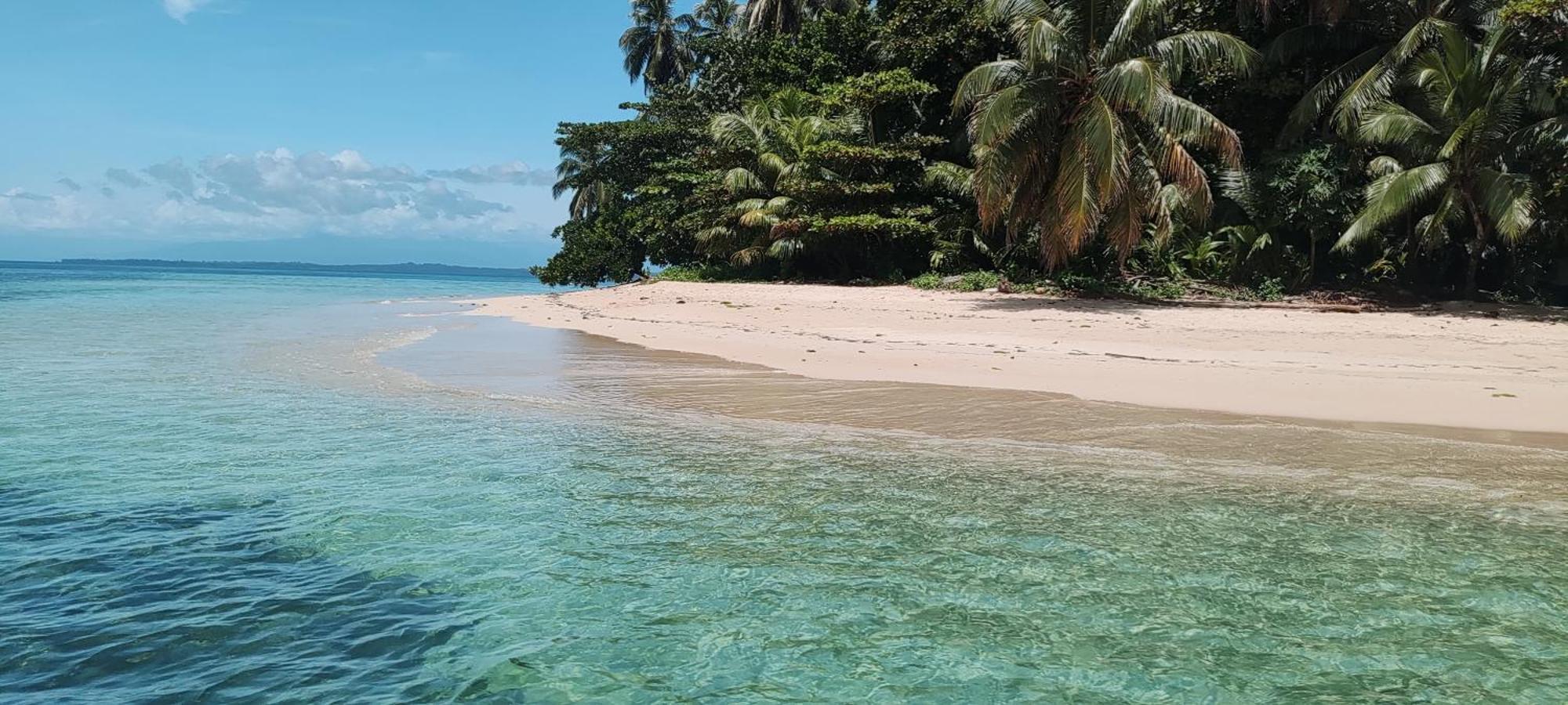 Bambu Lounge Bocas Hostel Бокас-дель-Торо Экстерьер фото